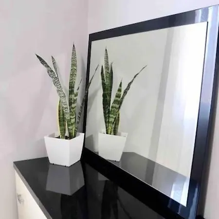 Olive Downtown Apartment